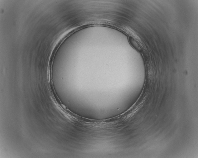 X0000070360940200606301827