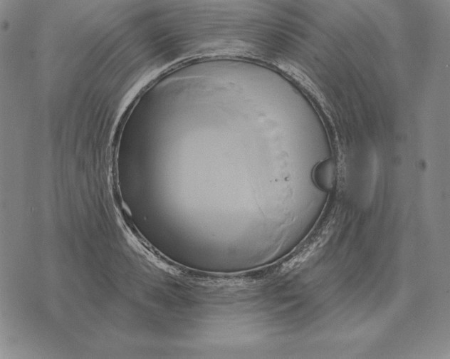 X0000070360941200606301827