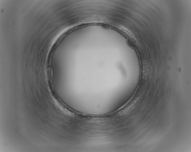 X0000070360942200606301827