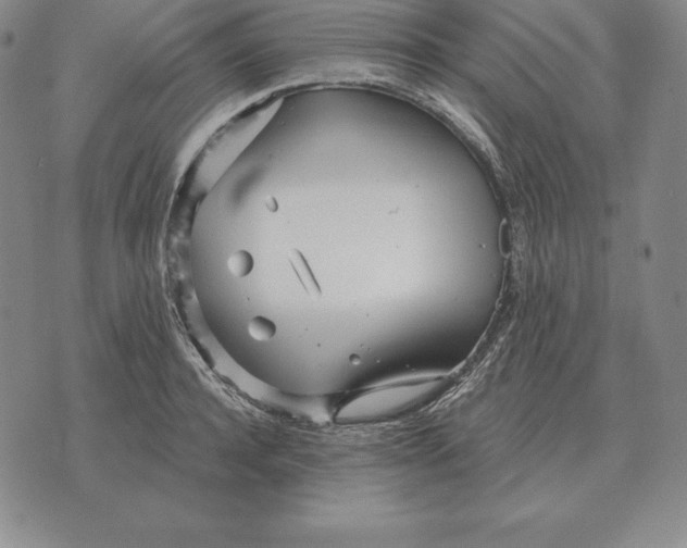 X0000070360944200606301827