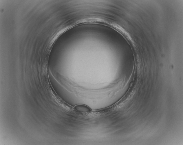 X0000070360945200606301827