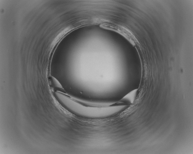 X0000070360946200606301827