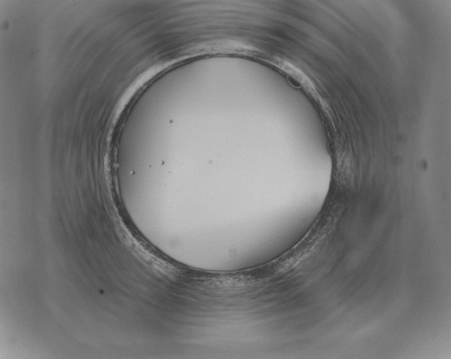 X0000070360947200606301827