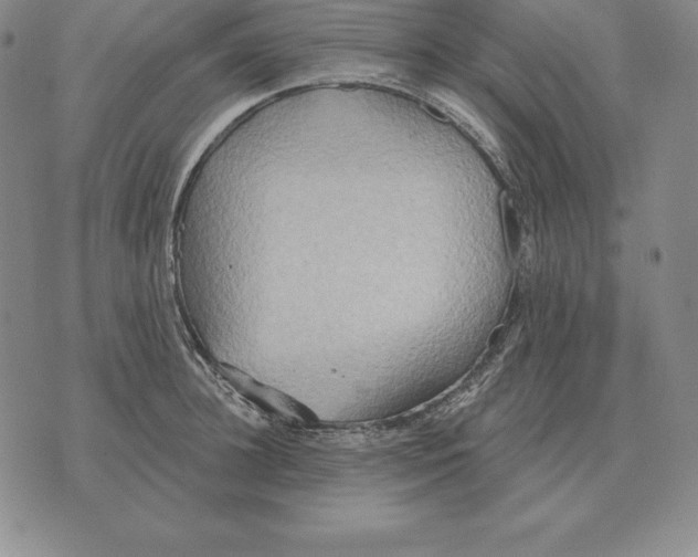 X0000070360948200606301827