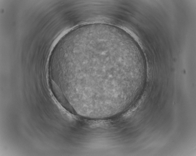 X0000070360949200606301827