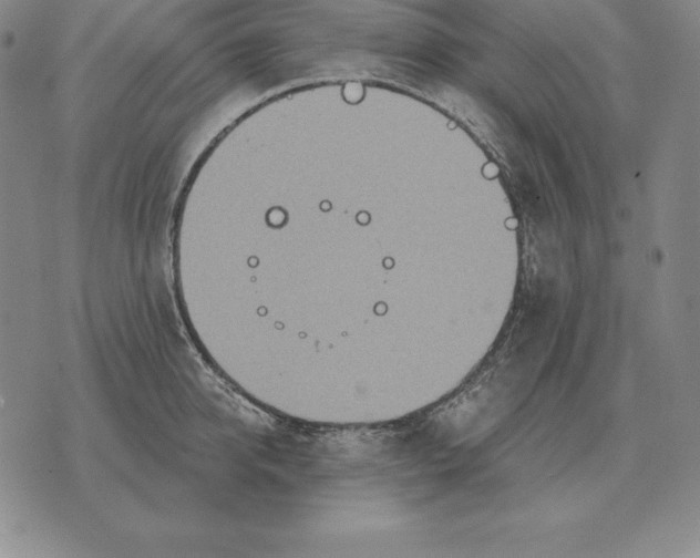 X0000070360950200606301827