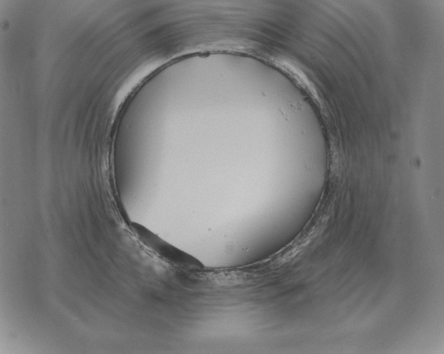 X0000070360952200606301827