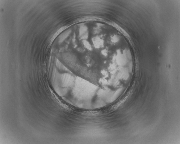 X0000070360953200606301827