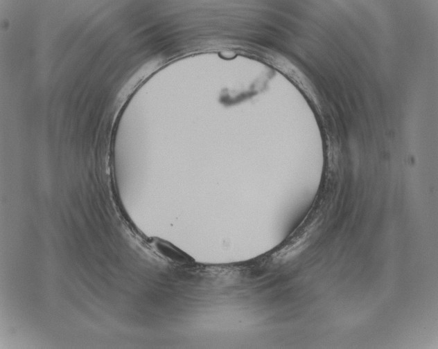 X0000070360954200606301827