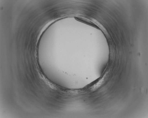 X0000070360956200606301827