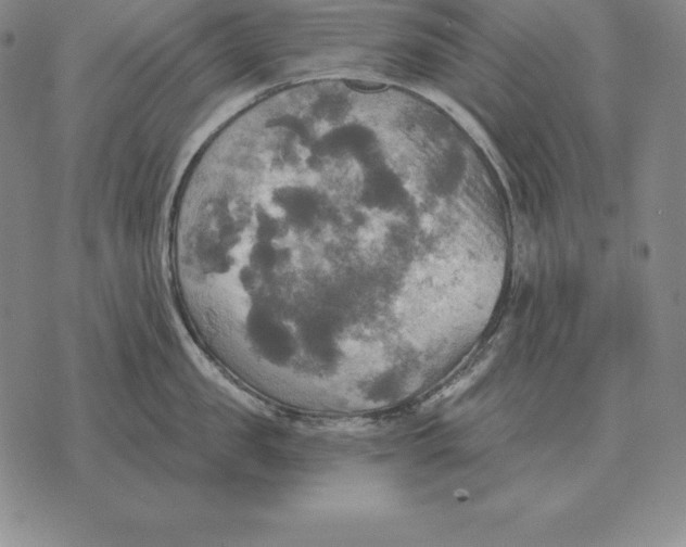 X0000070360957200606301827