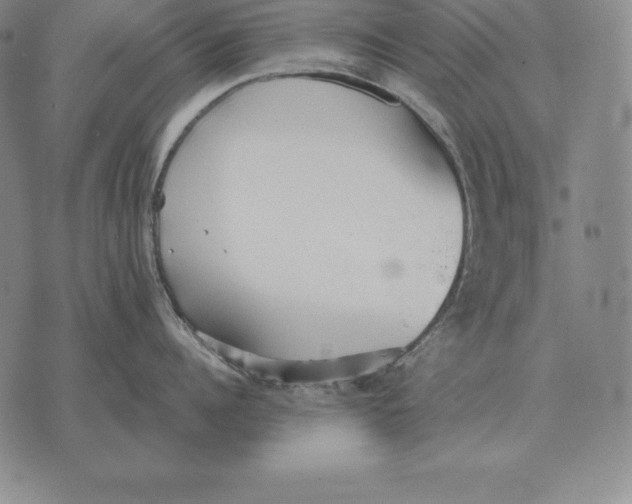 X0000070360960200606301827