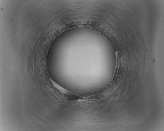 X0000070360961200606301827