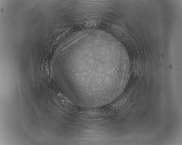 X0000070360962200606301827