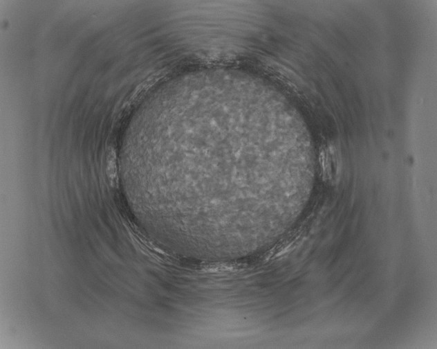 X0000070360963200606301827