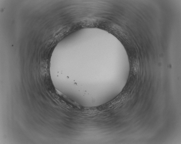 X0000070360964200606301827