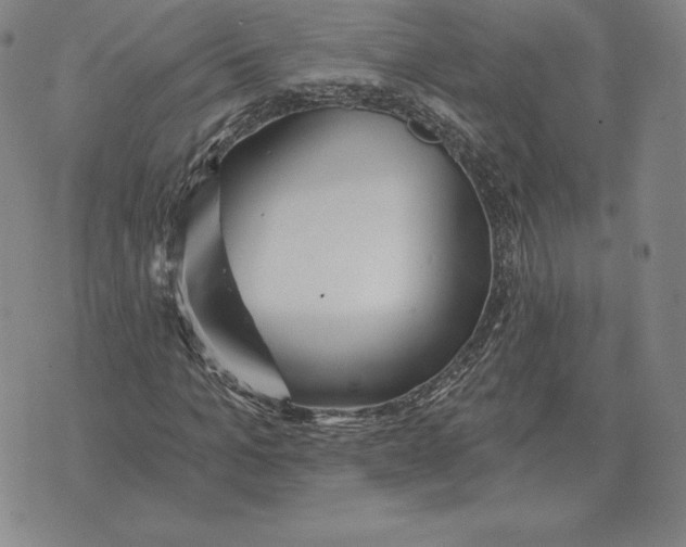 X0000070360965200606301827