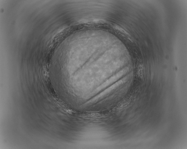 X0000070360966200606301827