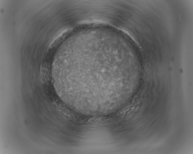 X0000070360967200606301827