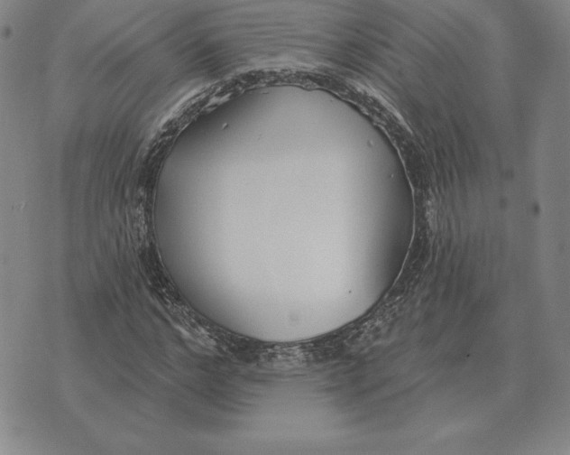 X0000070360968200606301827