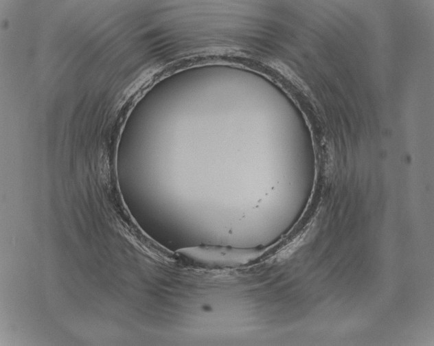 X0000070360969200606301827