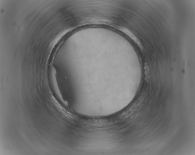 X0000070360972200606301826