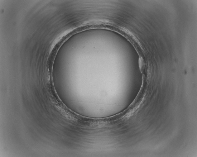 X0000070360973200606301826