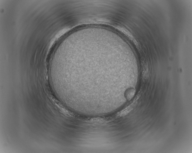 X0000070360974200606301826