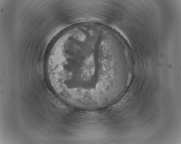 X0000070360975200606301826