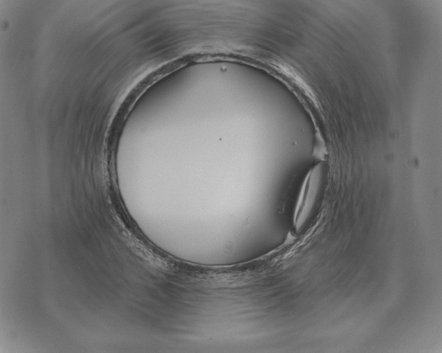 X0000070360976200606301826