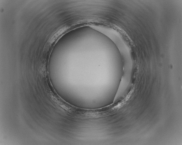 X0000070360977200606301826