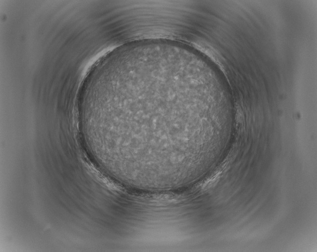 X0000070360979200606301826