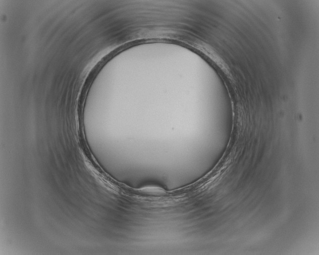 X0000070360980200606301826