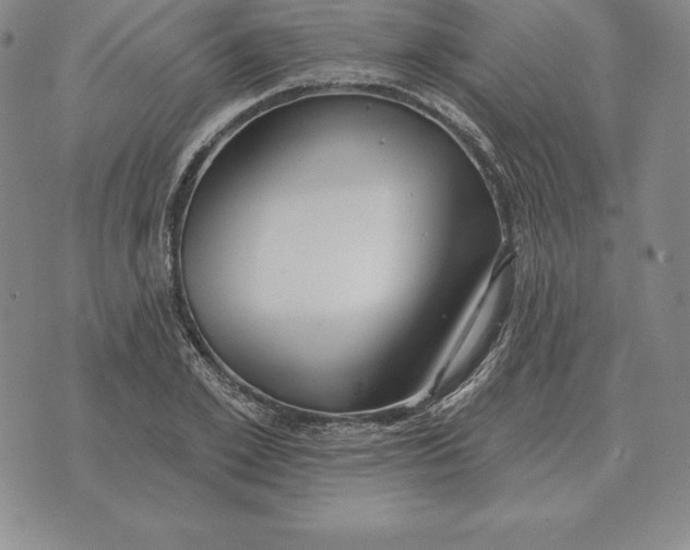 X0000070360981200606301826