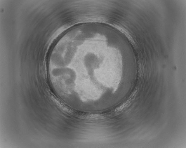 X0000070360982200606301826