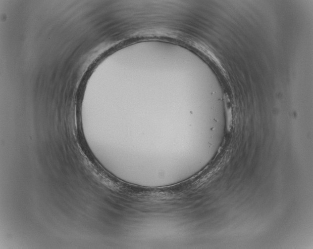 X0000070360984200606301826