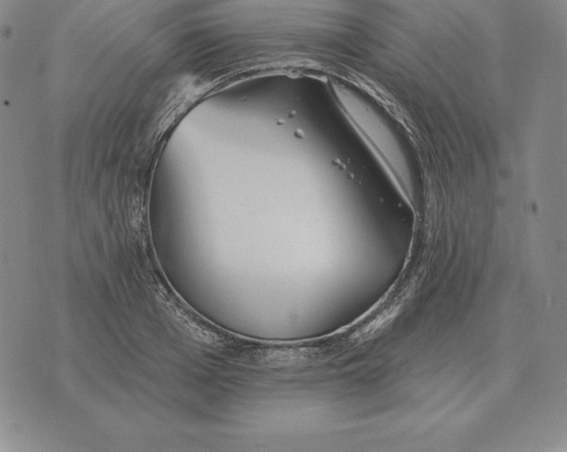 X0000070360985200606301826