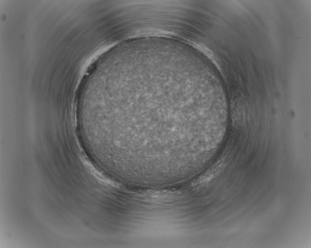 X0000070360987200606301826