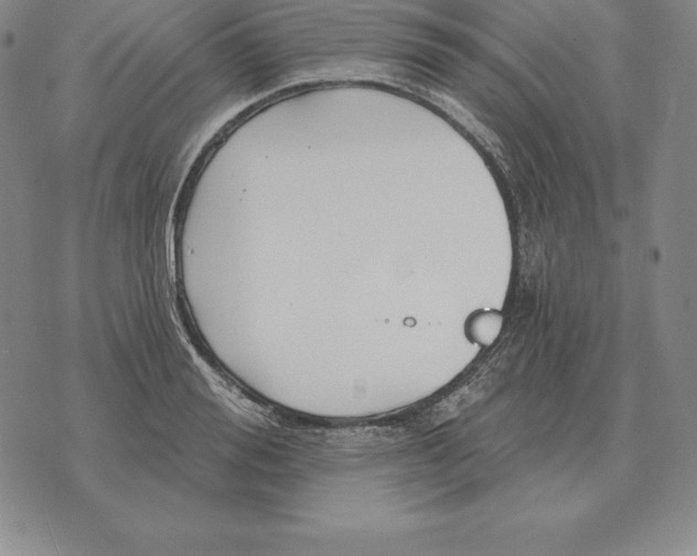 X0000070360988200606301826