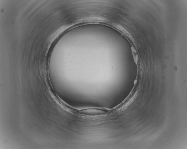 X0000070360989200606301826