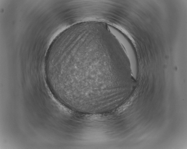 X0000070360991200606301826