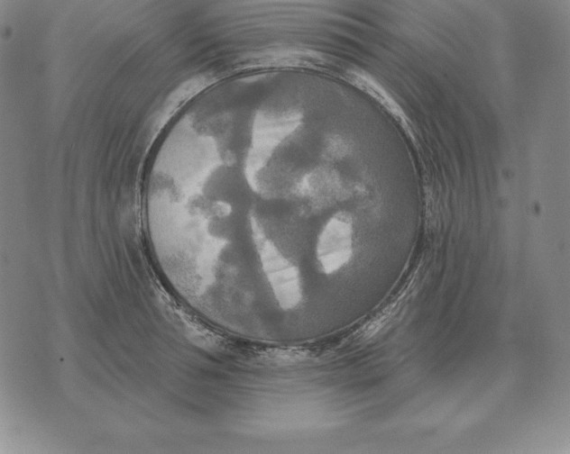 X0000070360994200606301826