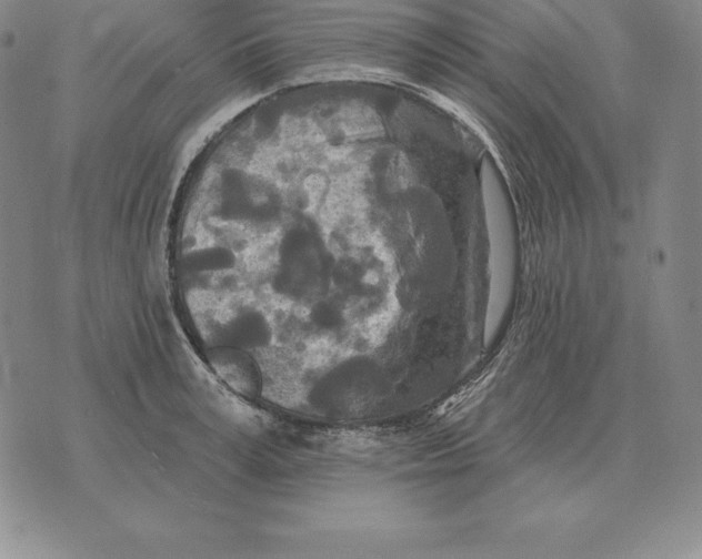 X0000070360995200606301826