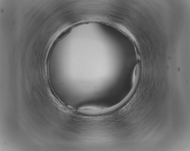 X0000070360996200606301826