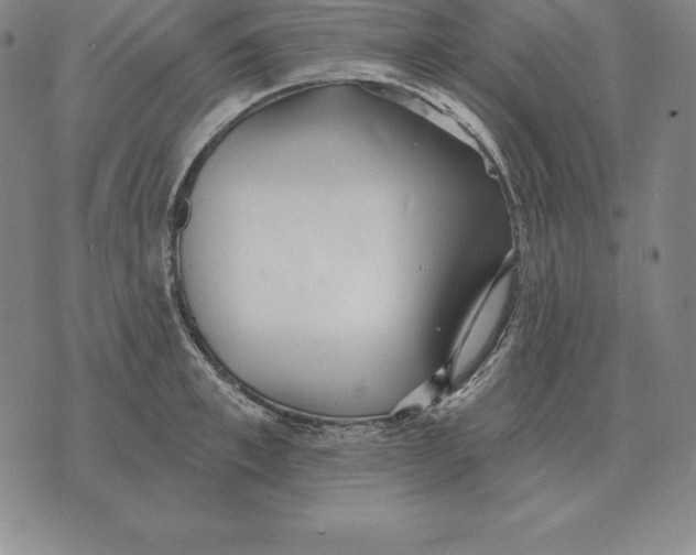 X0000070360997200606301826