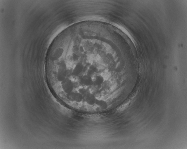 X0000070360999200606301826