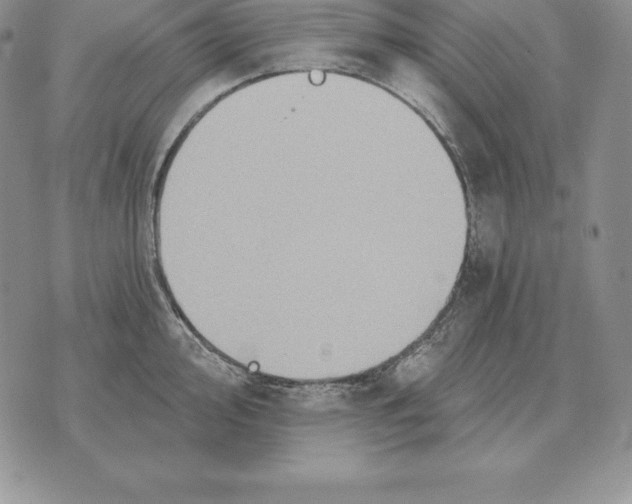 X0000070361000200606301826