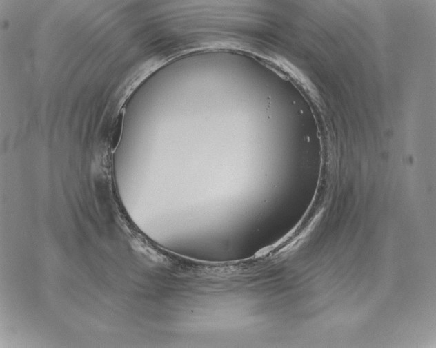 X0000070361001200606301826