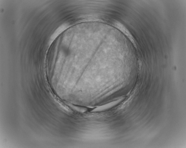 X0000070361002200606301826