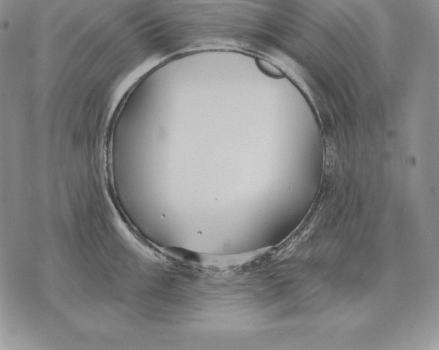 X0000070361003200606301826